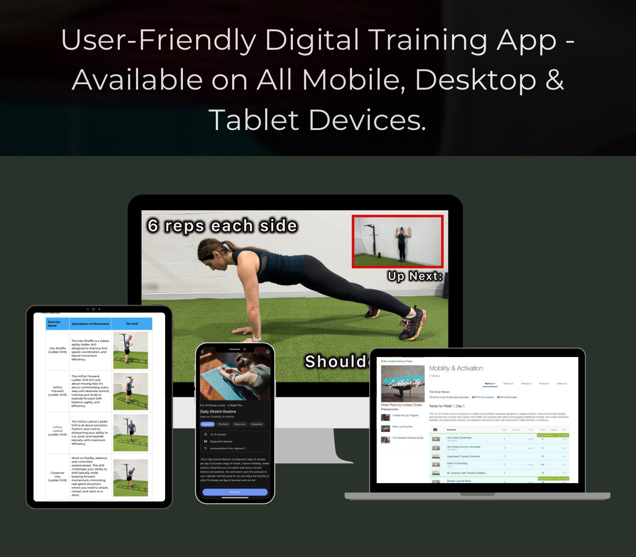 Pickleball Training Blueprint For Life Book (Digital App Bundle)